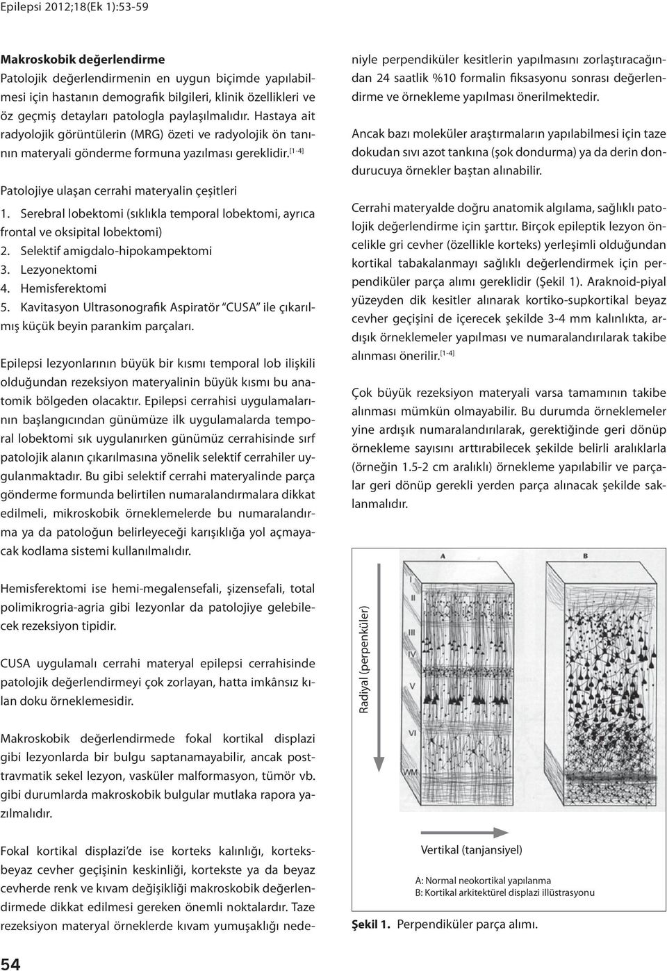 Serebral lobektomi (sıklıkla temporal lobektomi, ayrıca frontal ve oksipital lobektomi) 2. Selektif amigdalo-hipokampektomi 3. Lezyonektomi 4. Hemisferektomi 5.