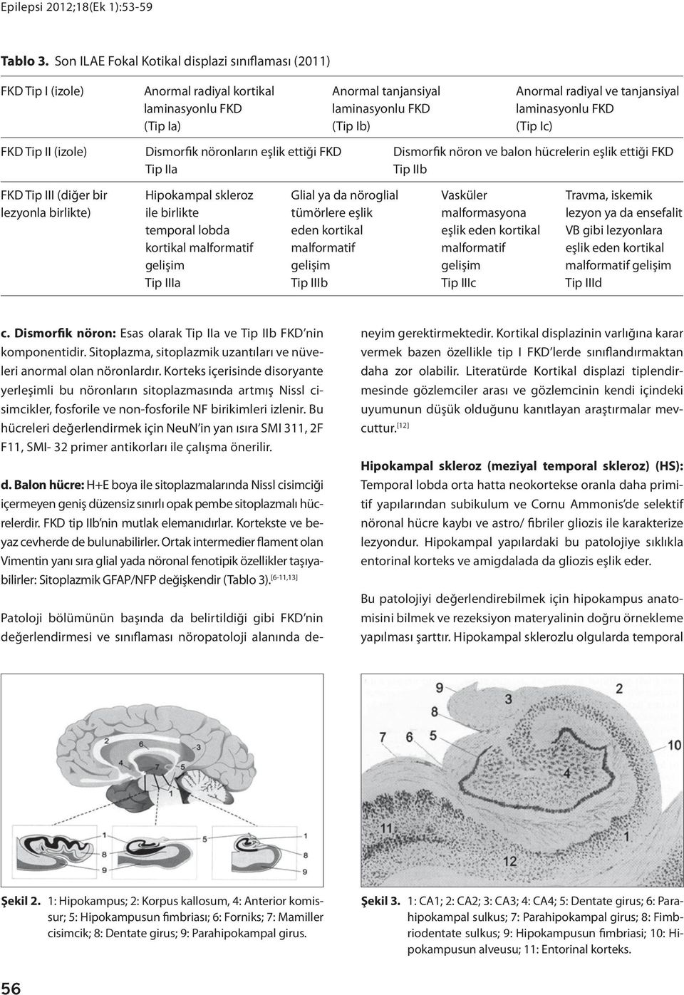 (Tip Ia) (Tip Ib) (Tip Ic) FKD Tip II (izole) Dismorfik nöronların eşlik ettiği FKD Dismorfik nöron ve balon hücrelerin eşlik ettiği FKD Tip IIa Tip IIb FKD Tip III (diğer bir Hipokampal skleroz