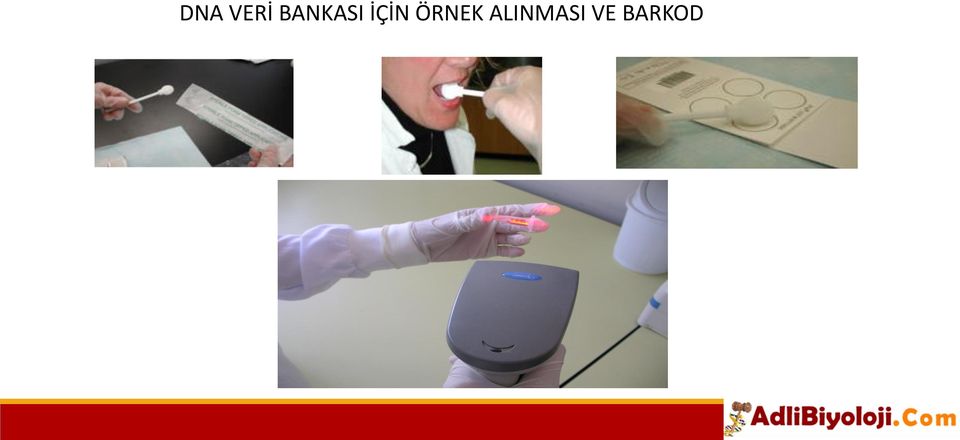 İÇİN ÖRNEK