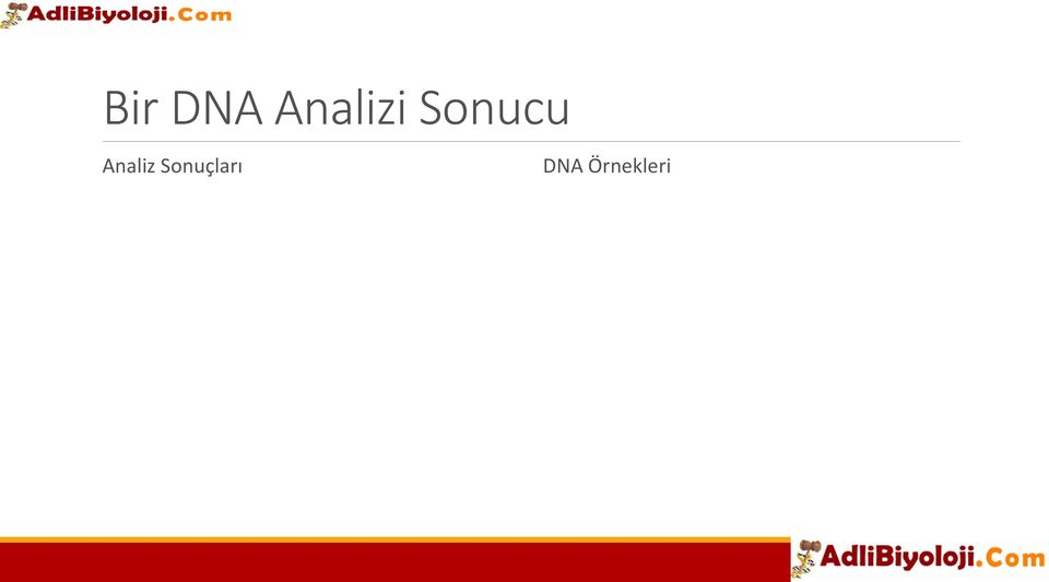 Sonucu Analiz