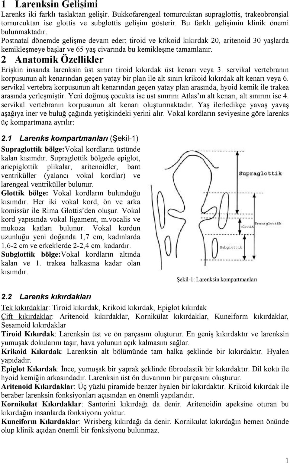 Postnatal dönemde gelişme devam eder; tiroid ve krikoid kıkırdak 20, aritenoid 30 yaşlarda kemikleşmeye başlar ve 65 yaş civarında bu kemikleşme tamamlanır.