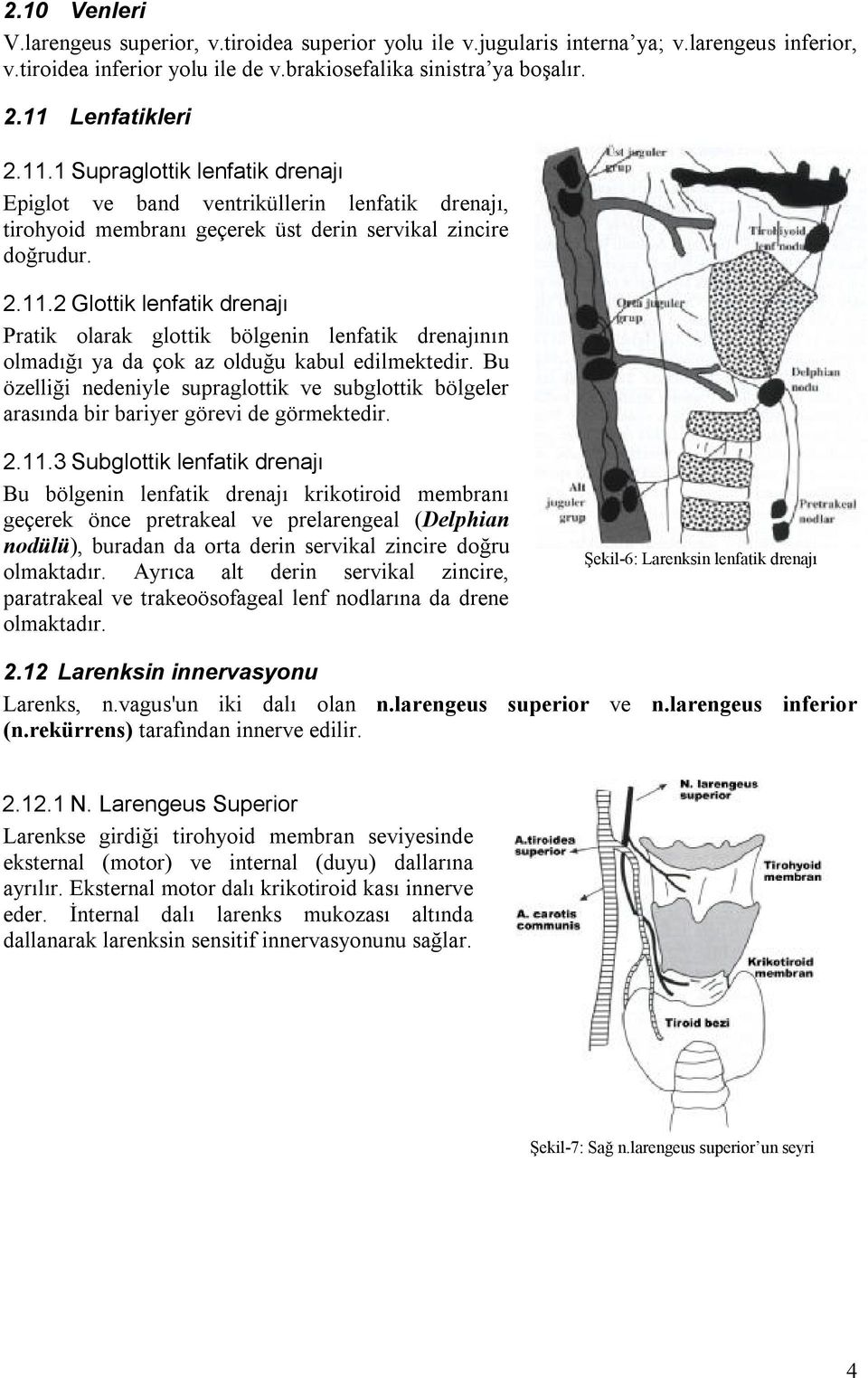 Bu özelliği nedeniyle supraglottik ve subglottik bölgeler arasında bir bariyer görevi de görmektedir. 2.11.