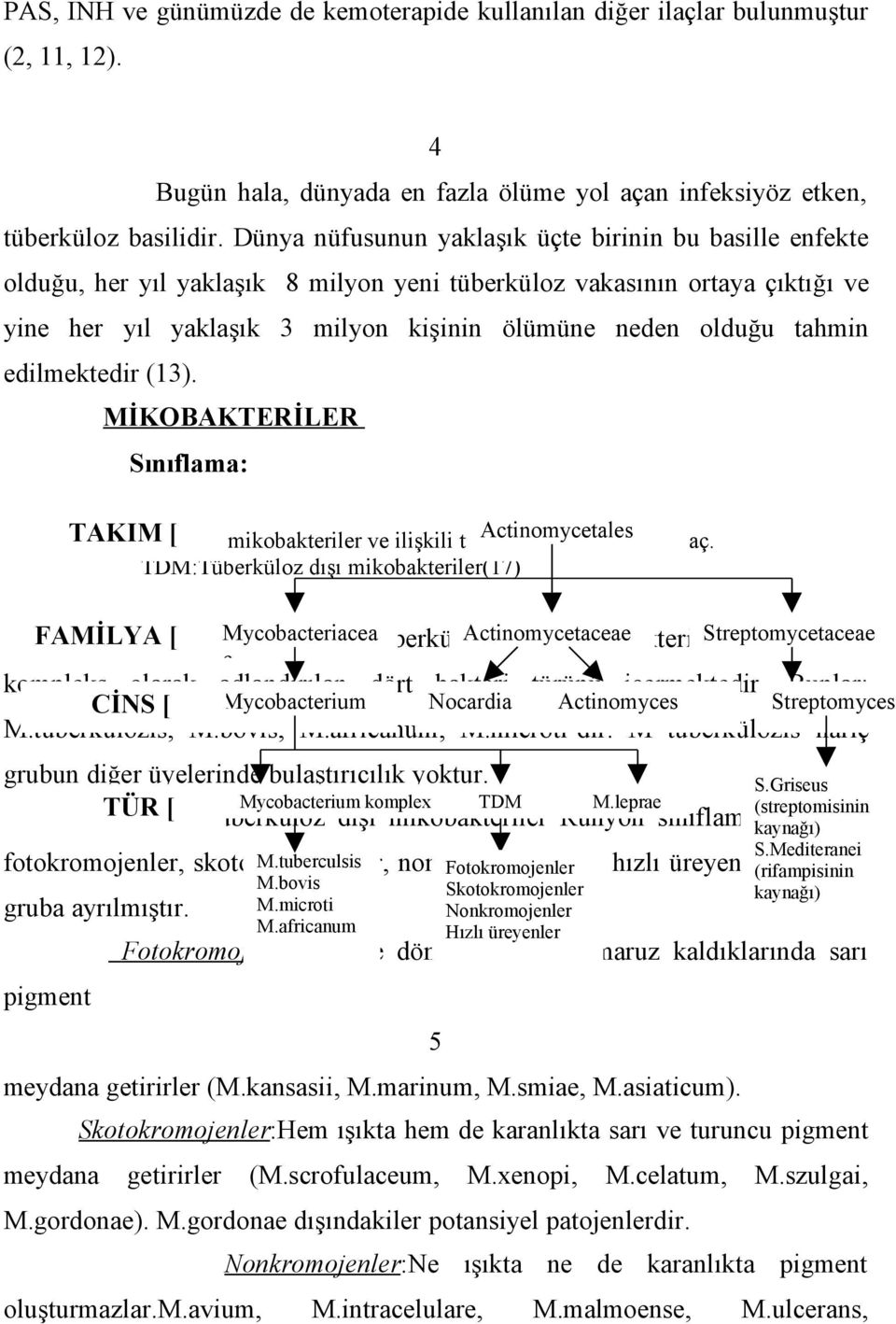 tahmin edilmektedir (13). MİKOBAKTERİLER Sınıflama: TAKIM Seçilmiş [ mikobakteriler ve ilişkili türler Actinomycetales için taksonomik ağaç.