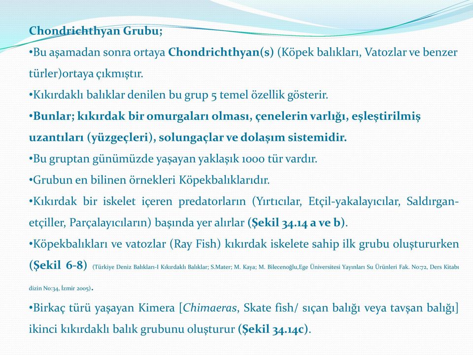 Grubun en bilinen örnekleri Köpekbalıklarıdır. Kıkırdak bir iskelet içeren predatorların (Yırtıcılar, Etçil-yakalayıcılar, Saldırganetçiller, Parçalayıcıların) başında yer alırlar (Şekil 34.