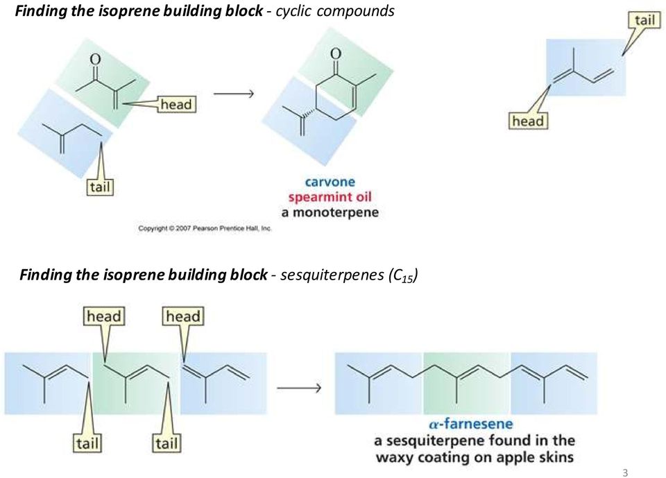 block - sesquiterpenes (C 15