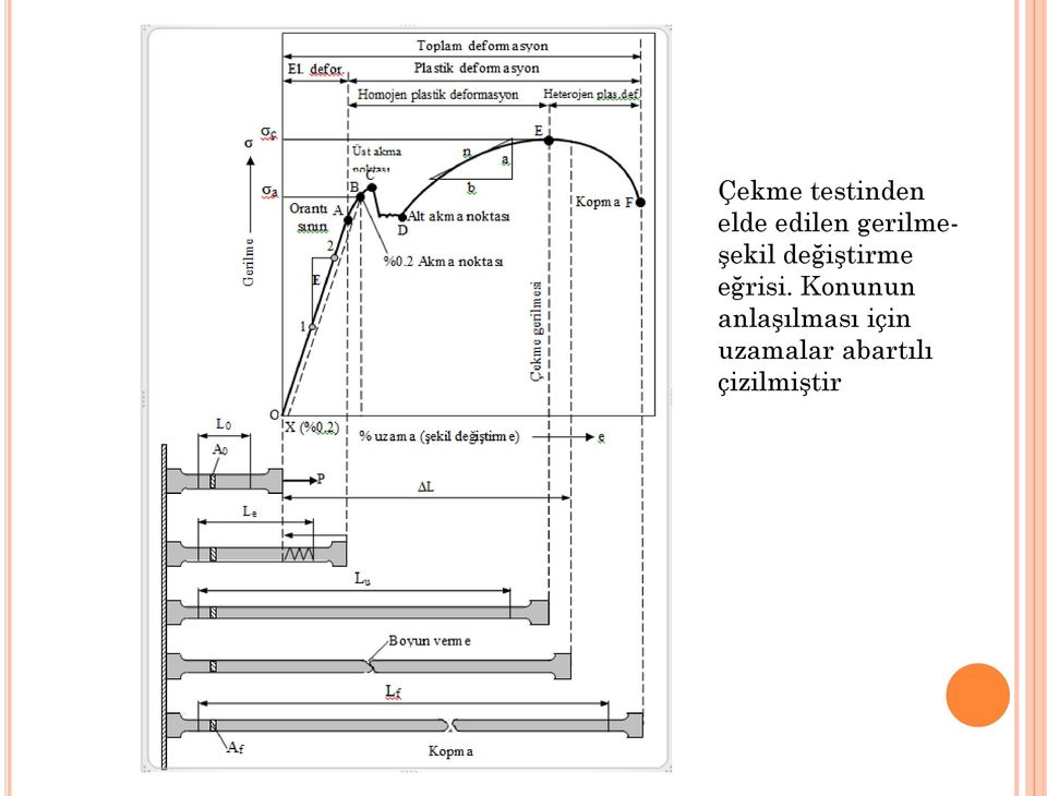 eğrisi.