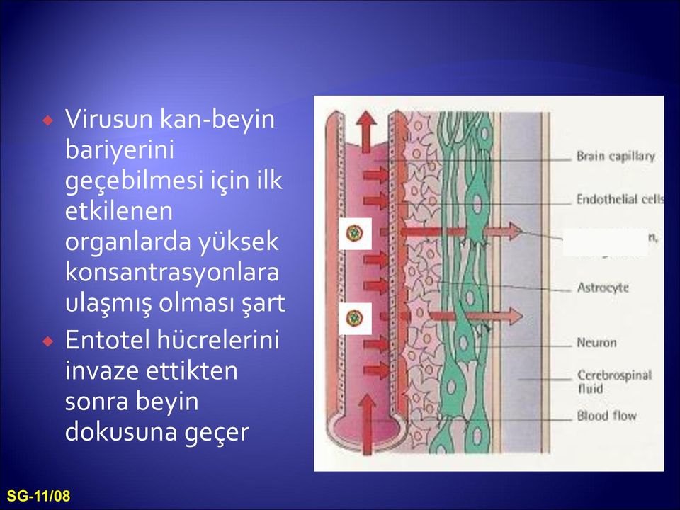 konsantrasyonlara ulaşmış olması şart