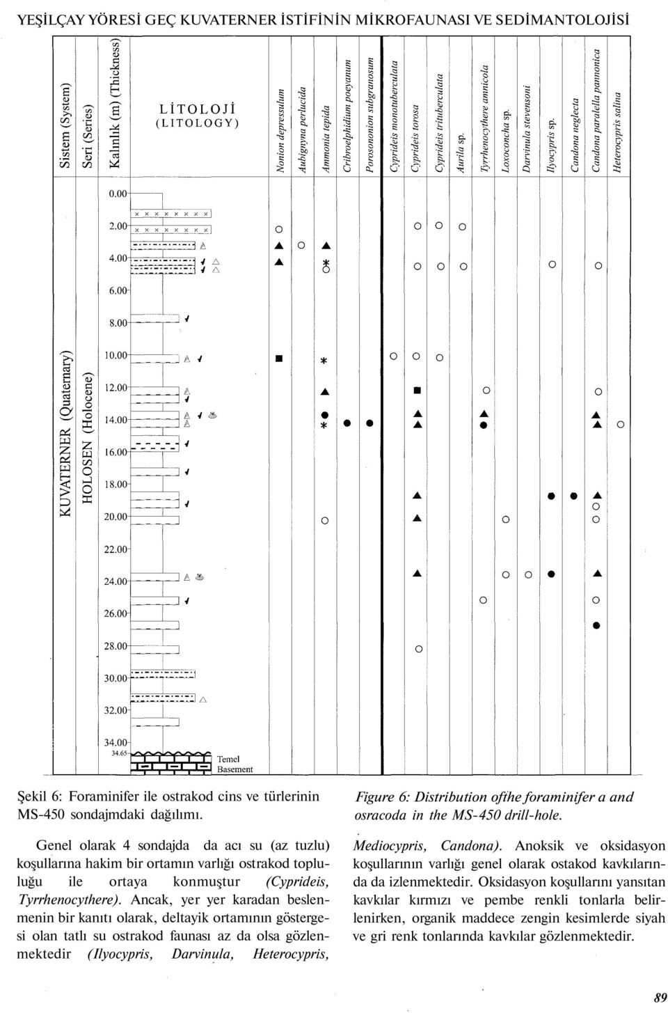 Ancak, yer yer karadan beslenmenin bir kanıtı olarak, deltayik ortamının göstergesi olan tatlı su ostrakod faunası az da olsa gözlenmektedir (Ilyocypris, Darvinula, Heterocypris, Figure 6: