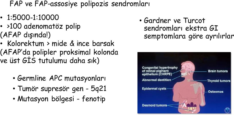 ) Kolorektum > mide & ince barsak (AFAP da polipler proksimal kolonda ve üst GİS