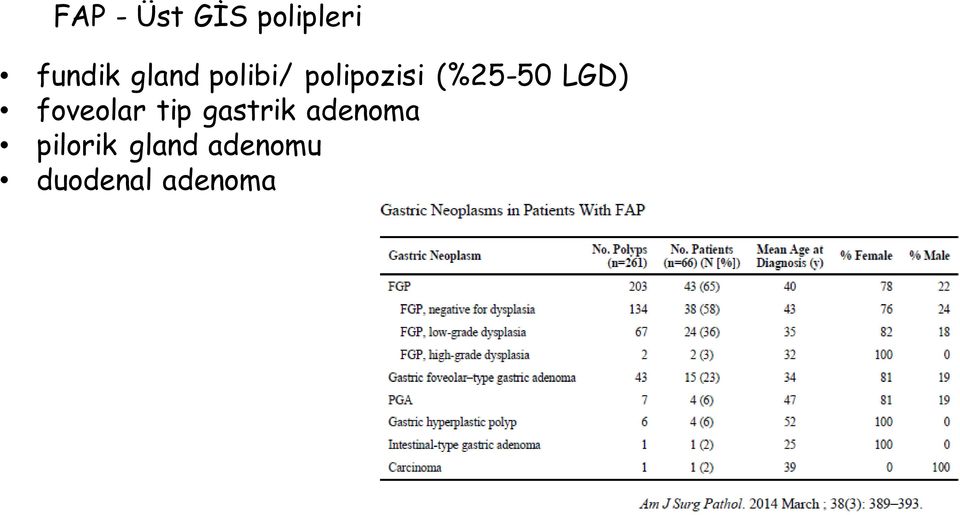 LGD) foveolar tip gastrik adenoma