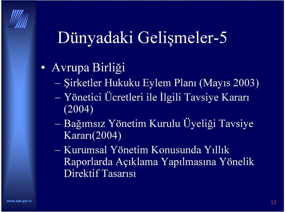 Bağımsız Yönetim Kurulu Üyeliği Tavsiye Kararı(2004) Kurumsal Yönetim