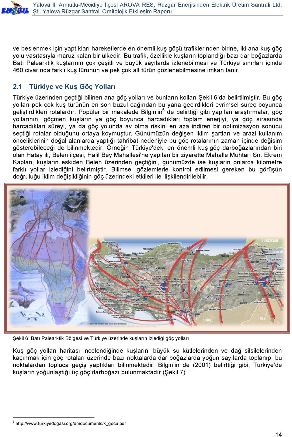 Bu trafik, özellikle kuşların toplandığı bazı dar boğazlarda Batı Palearktik kuşlarının çok çeşitli ve büyük sayılarda izlenebilmesi ve Türkiye sınırları içinde 460 civarında farklı kuş türünün ve