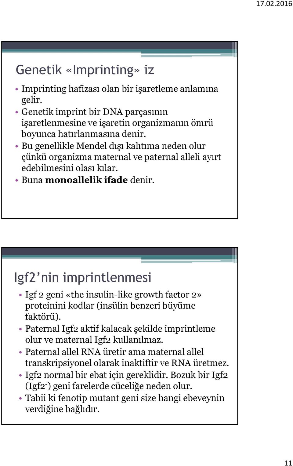Igf2 nin imprintlenmesi Igf 2 geni «the insulin-like growth factor 2» proteinini kodlar (insülin benzeri büyüme faktörü).