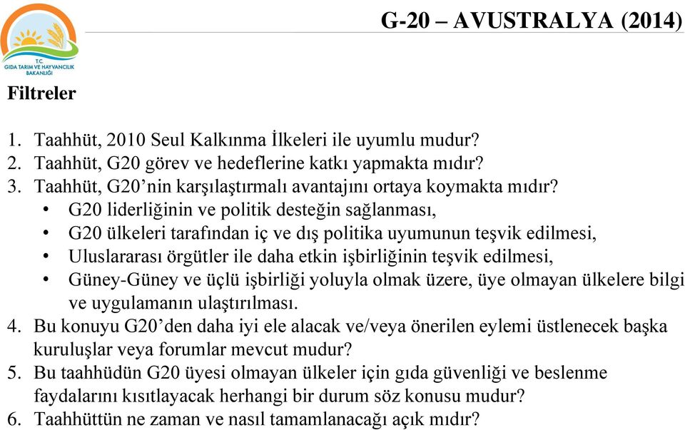 G20 liderliğinin ve politik desteğin sağlanması, G20 ülkeleri tarafından iç ve dış politika uyumunun teşvik edilmesi, Uluslararası örgütler ile daha etkin işbirliğinin teşvik edilmesi, Güney-Güney ve