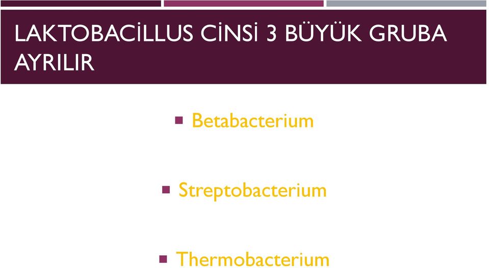 Betabacterium
