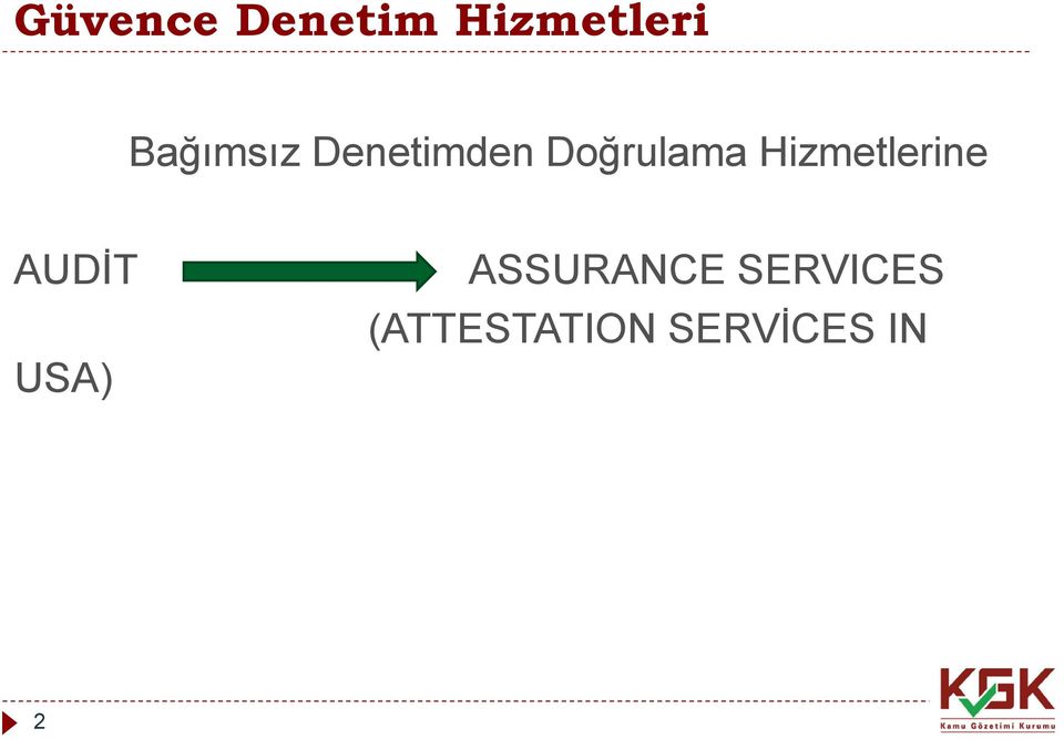 Hizmetlerine AUDİT USA)