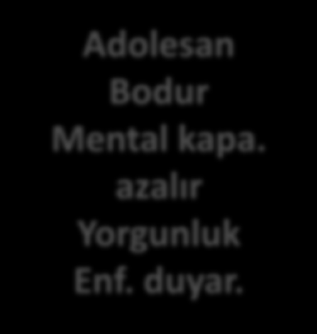 Yaşlı Has. artar (osteoporoz mental boz.) Mortalite artar Bebek LBW Yüksek mortalite Mental geliş boz. Kr. has.