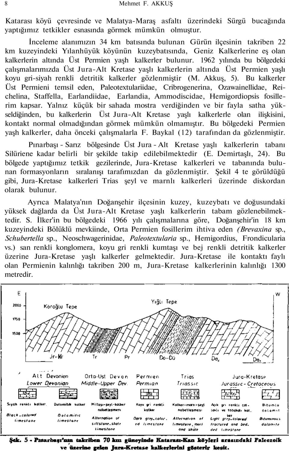 bulunur. 1962 yılında bu bölgedeki çalışmalarımızda Üst Jura-Alt Kretase yaşlı kalkerlerin altında Üst Permien yaşlı koyu gri-siyah renkli detritik kalkerler gözlenmiştir (M. Akkuş, 5).