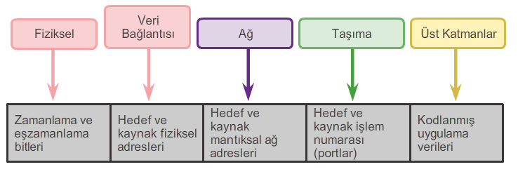 Ağda Veri Aktarma Yerel