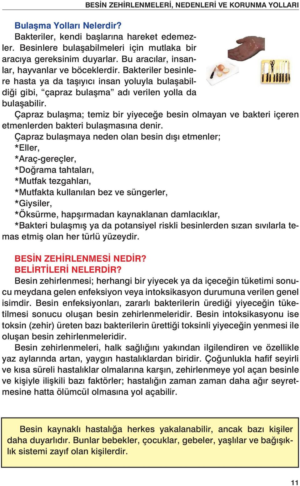 Çapraz bulaşma; temiz bir yiyeceğe besin olmayan ve bakteri içeren etmenlerden bakteri bulaşmasına denir.