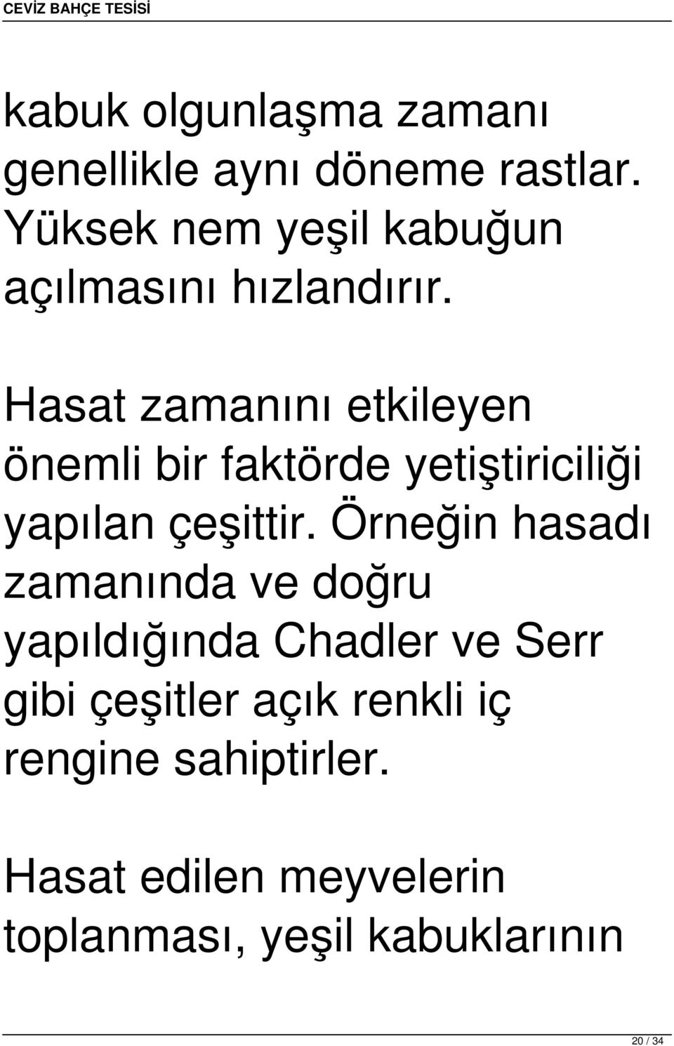 Hasat zamanını etkileyen önemli bir faktörde yetiştiriciliği yapılan çeşittir.