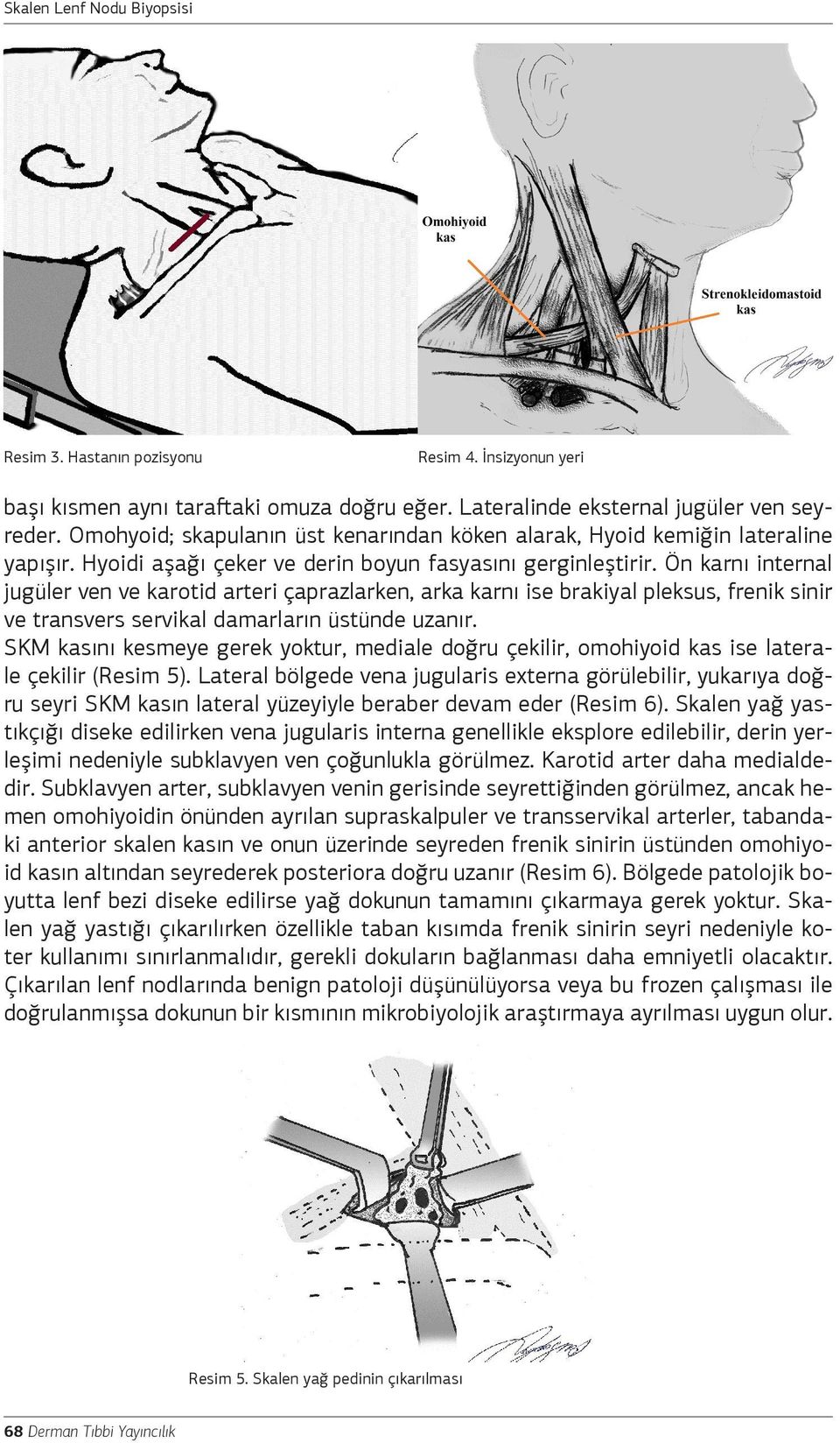 Ön karnı internal jugüler ven ve karotid arteri çaprazlarken, arka karnı ise brakiyal pleksus, frenik sinir ve transvers servikal damarların üstünde uzanır.