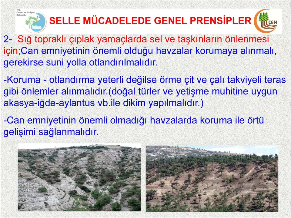 -Koruma - otlandırma yeterli değilse örme çit ve çalı takviyeli teras gibi önlemler alınmalıdır.