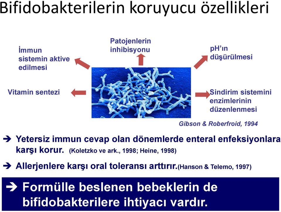 immun cevap olan dönemlerde enteral enfeksiyonlara karşı korur. (Koletzko ve ark.