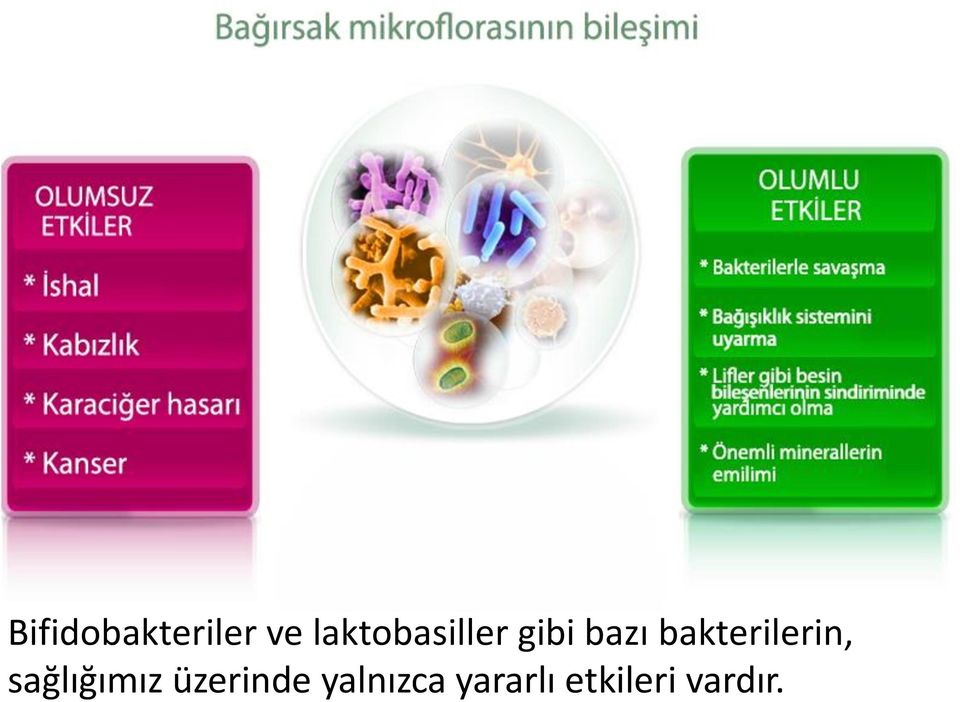 bakterilerin, sağlığımız