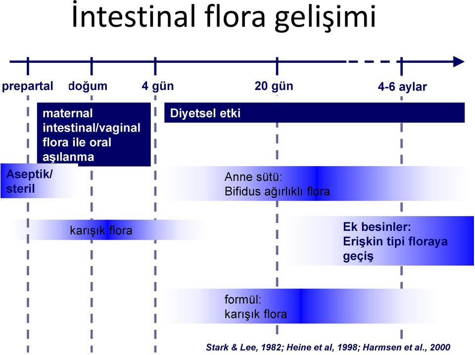 sütü: Bifidus ağırlıklı flora karışık flora Ek besinler: Erişkin tipi floraya