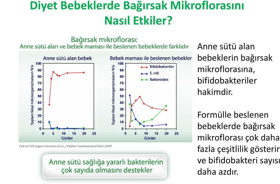 bifidobakteriler hakimdir.