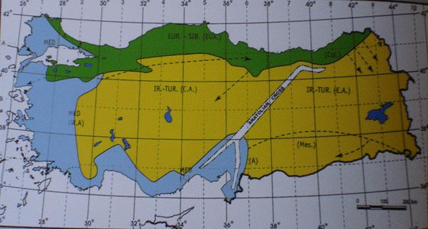 Şekil 2.1. Ülkemizdeki fitocoğrafik bölgeler Şekil 2.2. Ülkelere göre endemik tür sayıları (Yoğunoğlu, 2011) Şekil 2.2 de Türkiye ve bazı ülkelerin endemik tür sayıları verilmiştir.