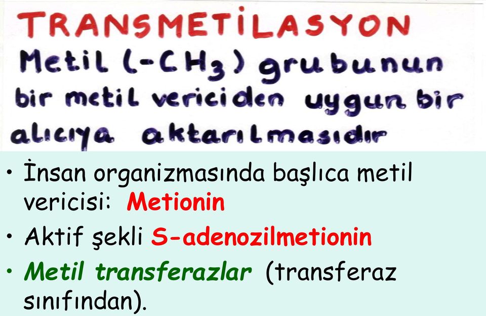 şekli S-adenozilmetionin Metil