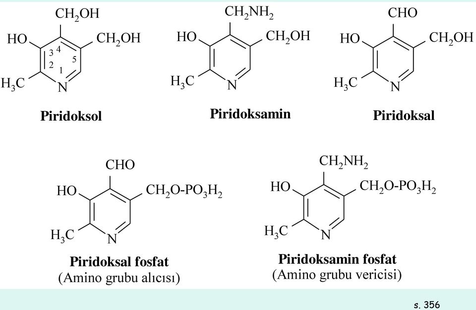 CH 2 O-PO 3 H 2 HO CH 2 O-PO 3 H 2 H 3 C N Piridoksal fosfat (Amino