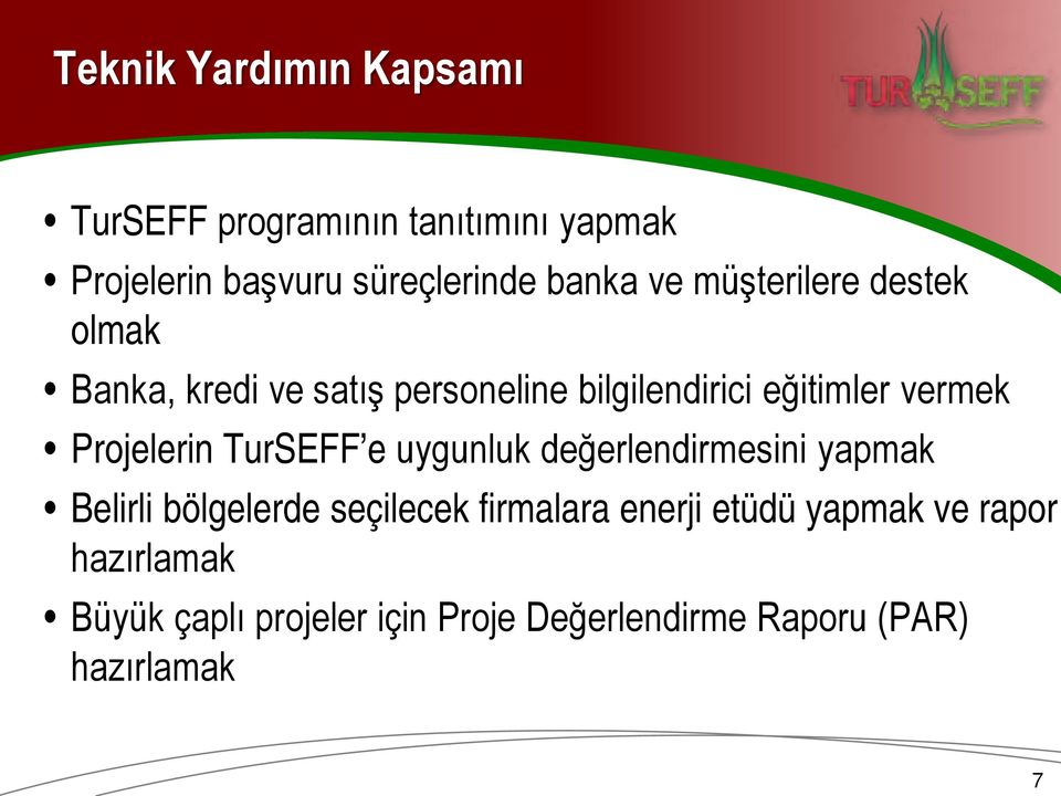 Projelerin TurSEFF e uygunluk değerlendirmesini yapmak Belirli bölgelerde seçilecek firmalara