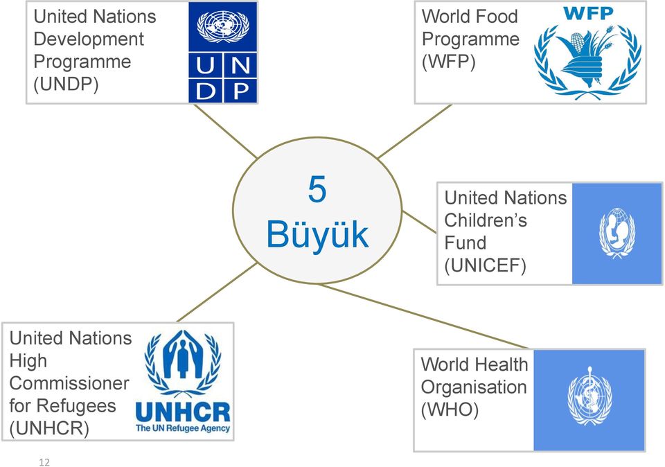 Children s Fund (UNICEF) United Nations High