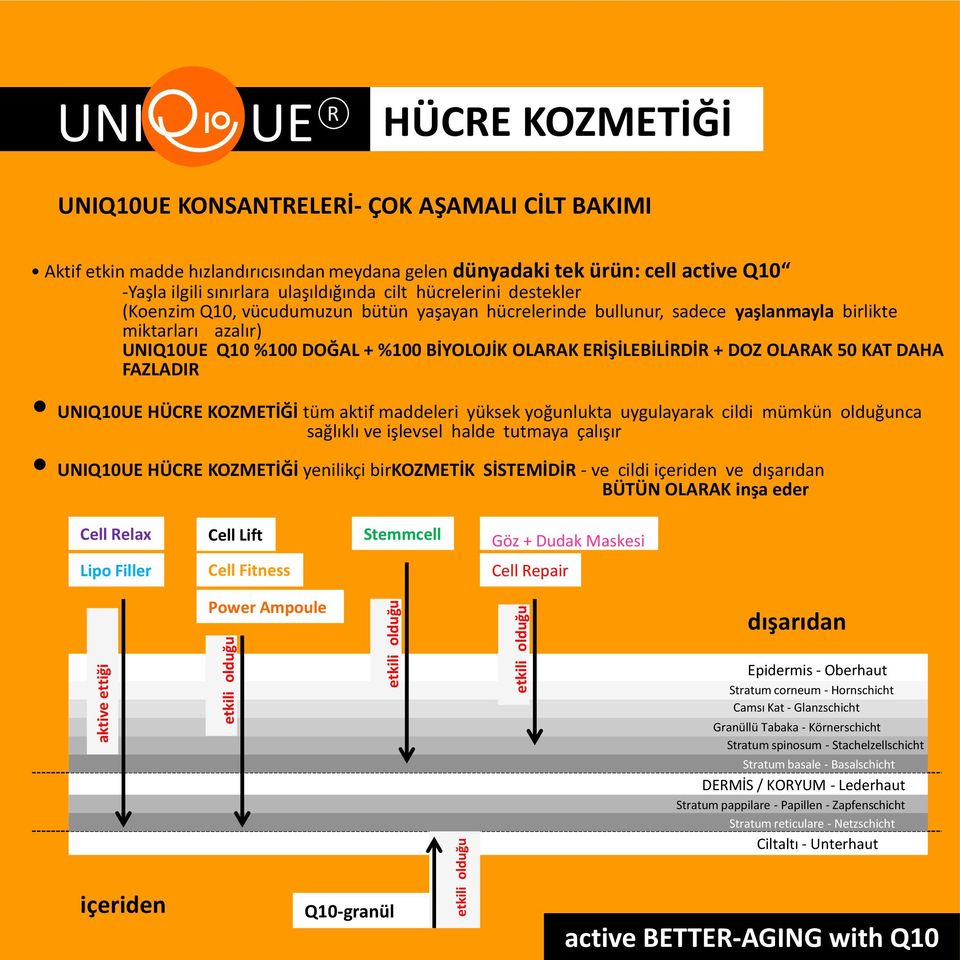 miktarları azalır) UNIQ10UE Q10 %100 DOĞAL %100 BİYOLOJİK OLARAK ERİŞİLEBİLİRDİR DOZ OLARAK 50 KAT DAHA FAZLADIR UNIQ10UE HÜCRE KOZMETİĞİ tüm aktif maddeleri yüksek yoğunlukta uygulayarak cildi