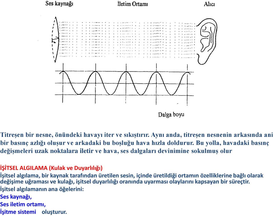 Bu yolla, havadaki basınç değişmeleri uzak noktalara iletir ve hava, ses dalgaları devinimine sokulmuş olur İŞİTSEL ALGILAMA (Kulak ve Duyarlılığı)