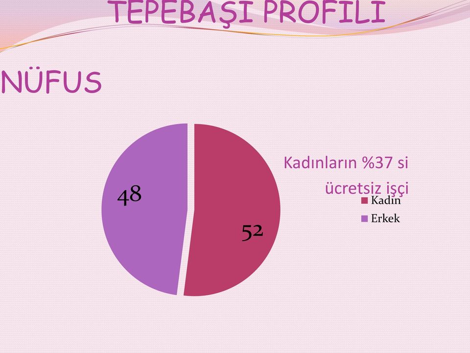 Kadınların %37 si