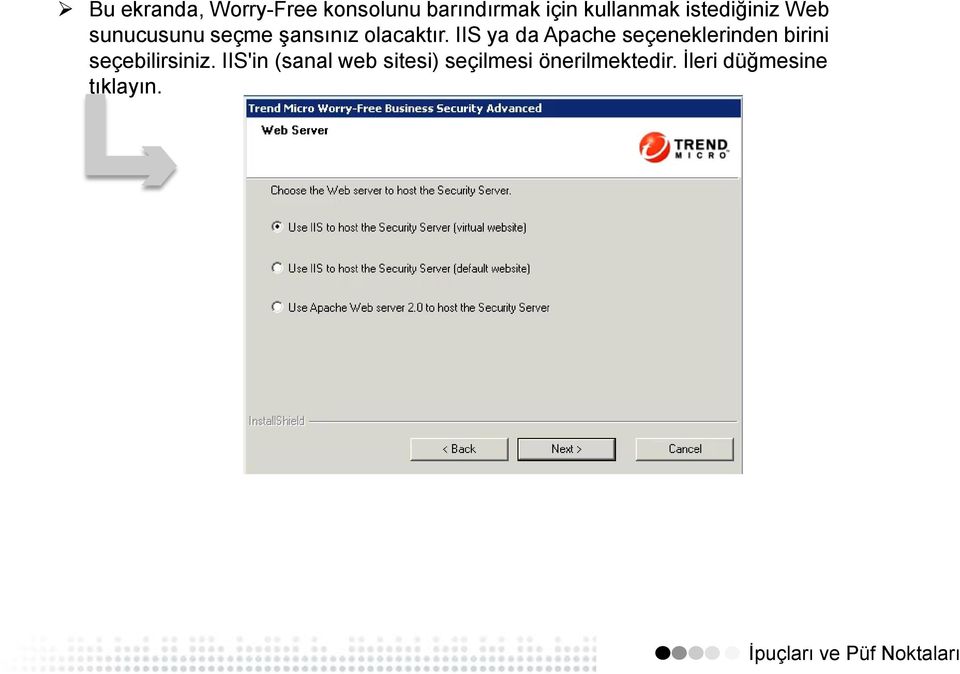 IIS ya da Apache seçeneklerinden birini seçebilirsiniz.