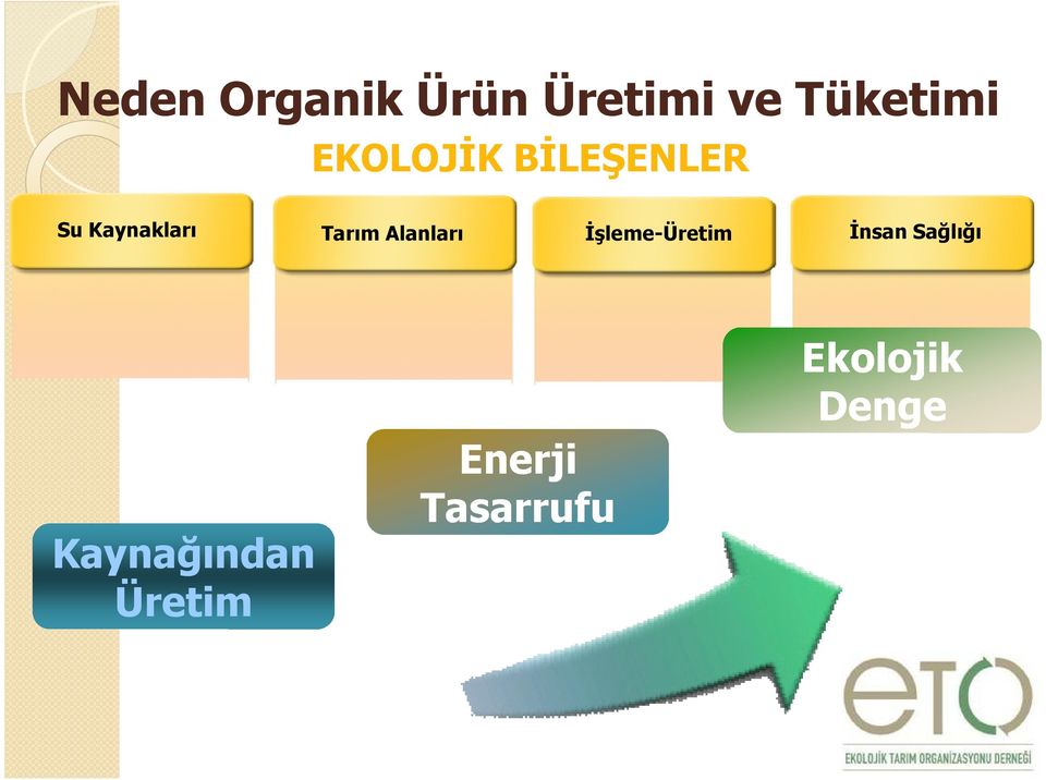 Alanları Đşleme-Üretim Đnsan Sağlığı