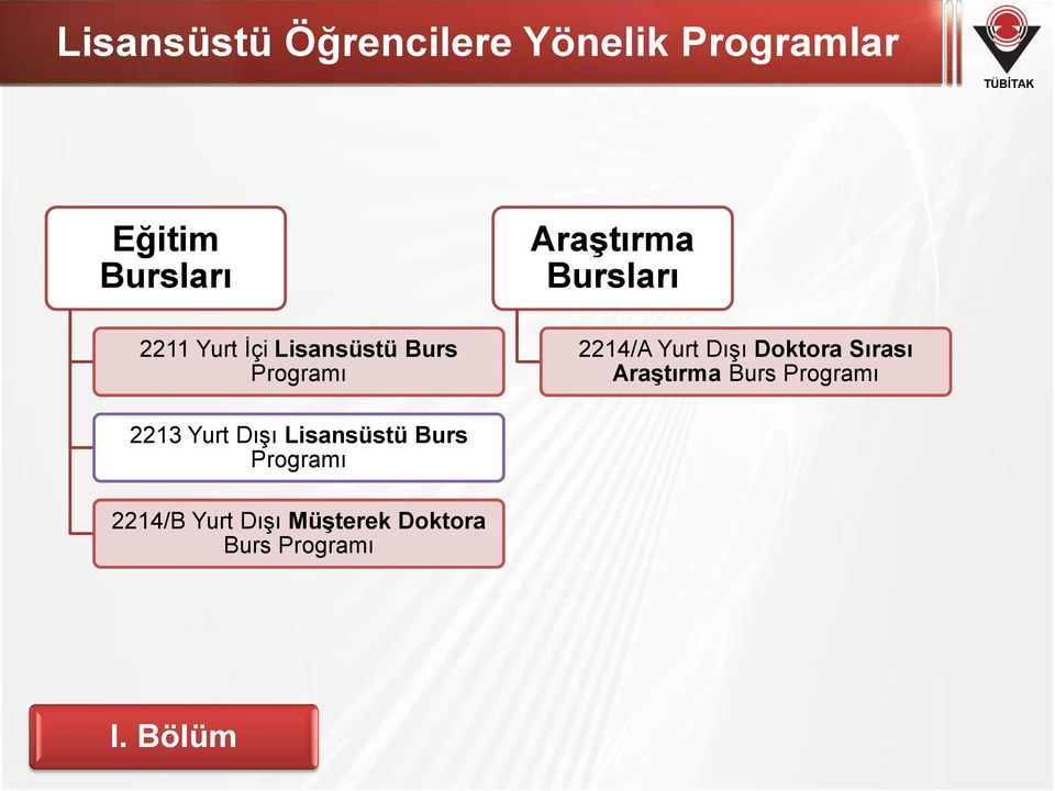 Dışı Doktora Sırası Araştırma Burs Programı 2213 Yurt Dışı