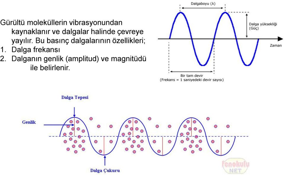 Bu basınç dalgalarının özellikleri; 1.