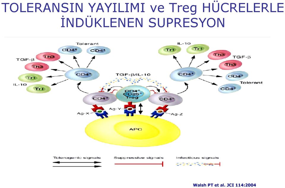 İNDÜKLENEN SUPRESYON