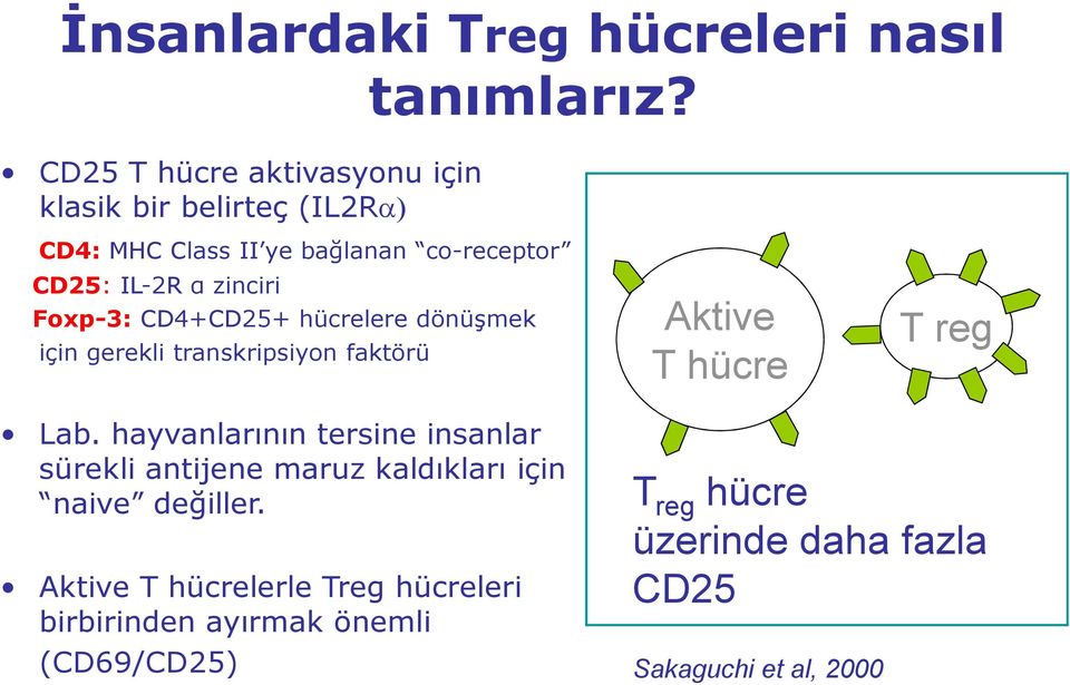 Foxp-3: CD4+CD25+ hücrelere dönüşmek için gerekli transkripsiyon faktörü Aktive T hücre T reg Lab.