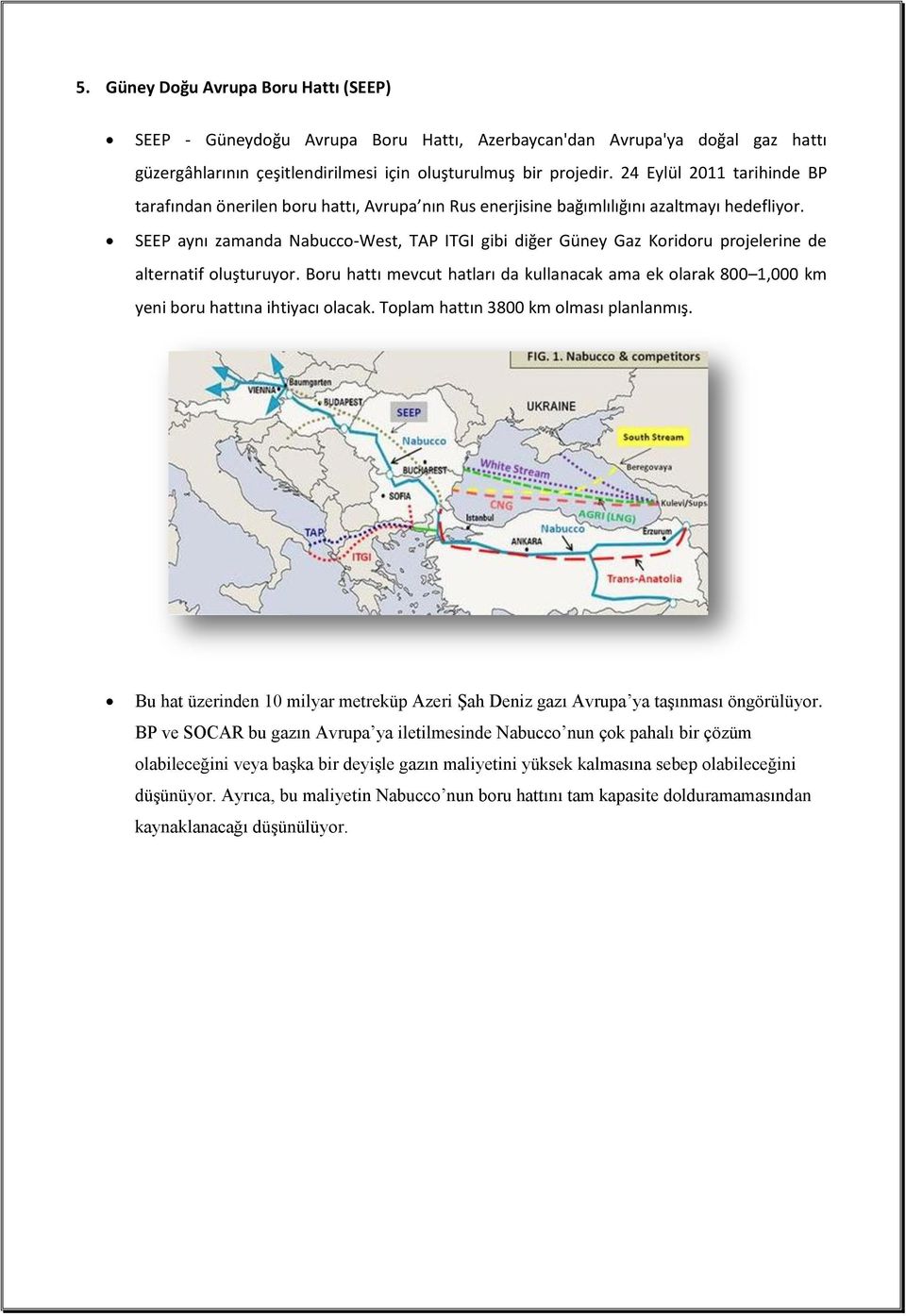 SEEP aynı zamanda Nabucco-West, TAP ITGI gibi diğer Güney Gaz Koridoru projelerine de alternatif oluşturuyor.