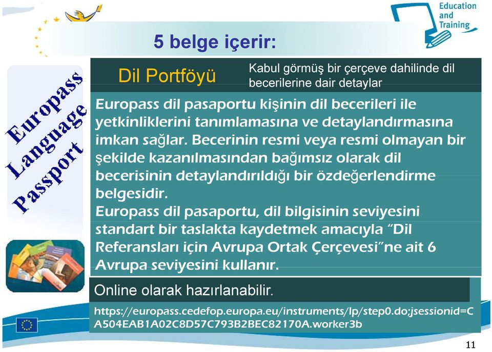 Europass dil pasaportu, dil bilgisinin seviyesini standart bir taslakta kaydetmek amacıyla Dil Referansları için Avrupa Ortak Çerçevesi ne ait 6 Avrupa seviyesini kullanır.