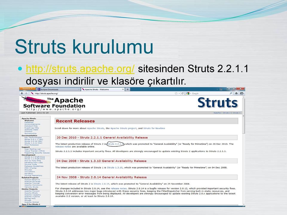 org/ sitesinden Struts 2.2.1.