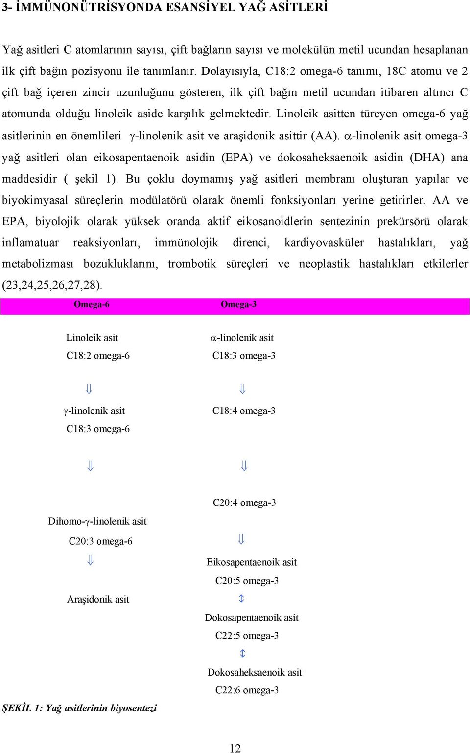 Linoleik asitten türeyen omega-6 yağ asitlerinin en önemlileri γ-linolenik asit ve araşidonik asittir (AA).