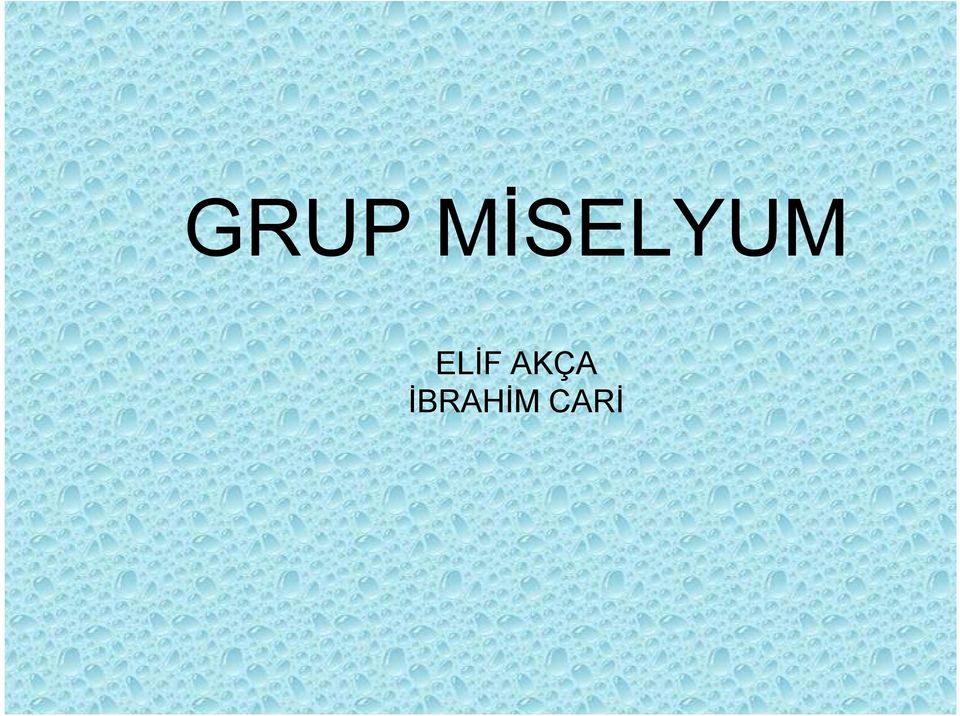 ELİF AKÇA